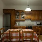 House In The Village Trikala (Thessaly)